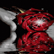Hand Held Reflective Rose LWP2