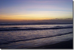 Picture%20004