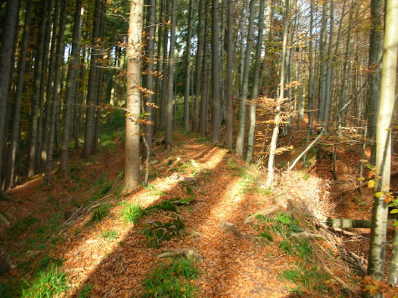 schwarzer grat fahrrad