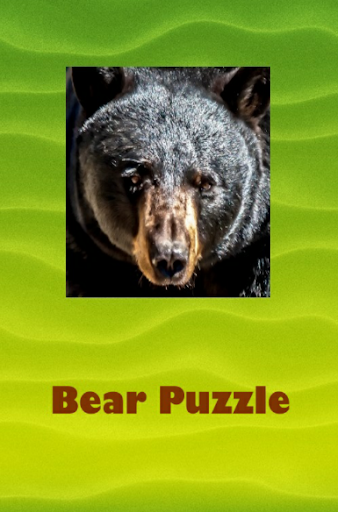 Bear Puzzle