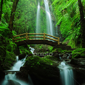 My Peace by Buyung Sukananda - Landscapes Waterscapes