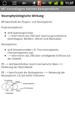 Physiokomp. Manuelle Therapie