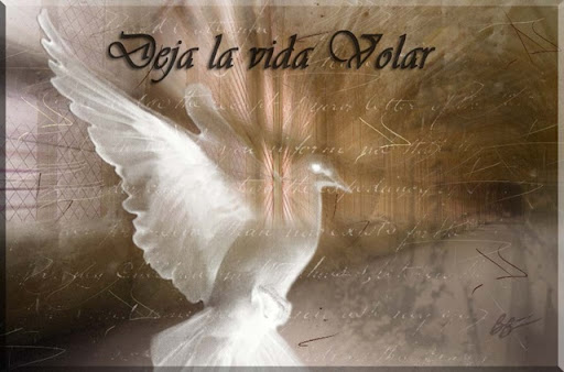 Canciones De Mi Padre. Mi padre, Alejandro, es un