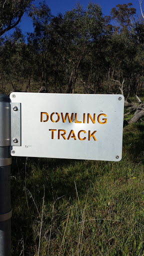 The Pinnacle - Dowling Track