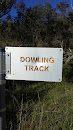 The Pinnacle - Dowling Track
