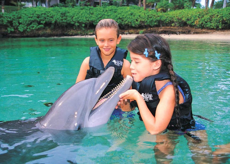 Children can learn all about dolphins and nuzzle with one up close through Splash Academy on your Norwegian cruise ship.