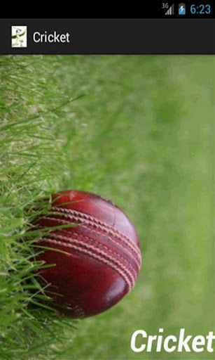 Cricket