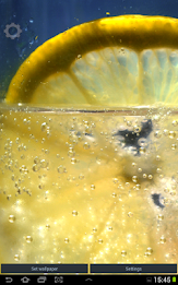 Lemon Appling LWP poster 3