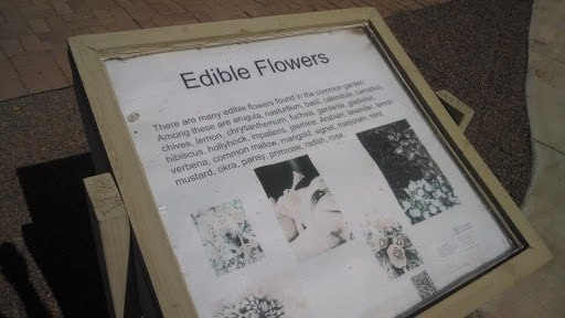 Edible Flowers 
