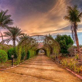 by Thesz Fontanilla Clariza - Landscapes Prairies, Meadows & Fields
