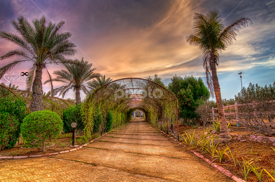 by Thesz Fontanilla Clariza - Landscapes Prairies, Meadows & Fields