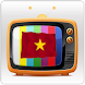 AddOn QT Viet Mobi TV