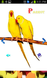 Download Kids Fun ABCD APK for Android