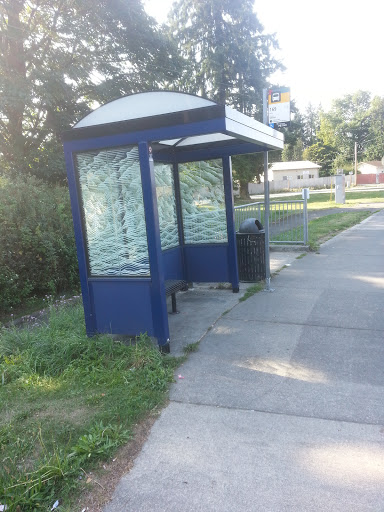 Artsy Bus Stop