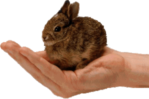 FELIZ PÁSCOA A TODOS!