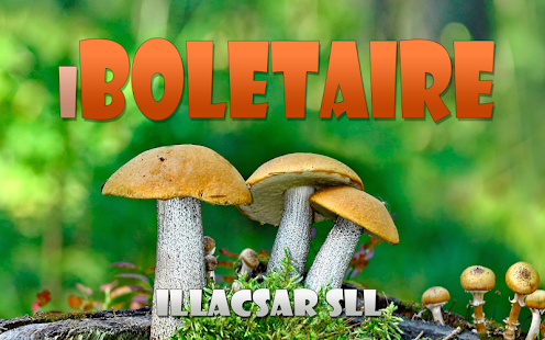 iBoletaire Screenshots 10