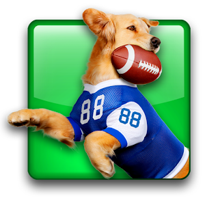 Jerry Rice Dog Football
