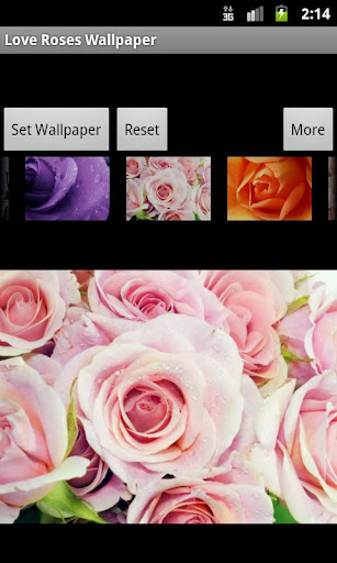 【免費攝影App】Love Roses Wallpaper-APP點子