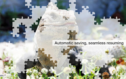 Jigsaw Puzzles: Cancun poster 8