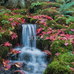 Flowing Water by Keith Sutherland - Landscapes Waterscapes