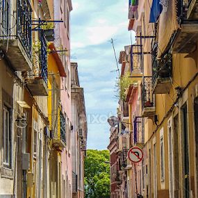 Port Wine by Jesus Rivero - City,  Street & Park Neighborhoods