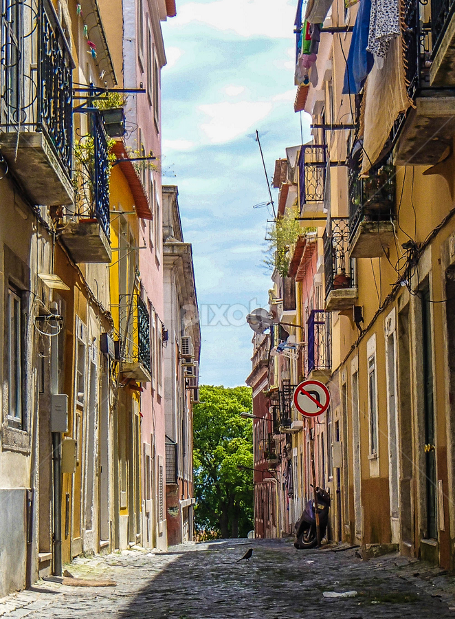 Port Wine by Jesus Rivero - City,  Street & Park Neighborhoods