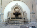 Fontana Del Toro