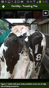  Nadis Vet – скрыншот-мініяцюра  