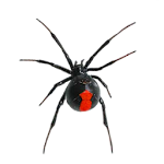 Cover Image of Download Arachnophobia Free LW 1.18 APK