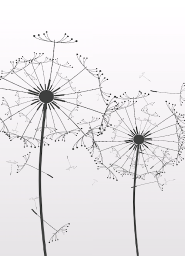 Dandelion Seeds Live Wallpaper