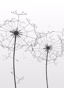 How to download Dandelion Seeds Live Wallpaper patch 1.0.21 apk for android