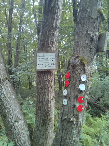 Jamie Latham Trail/Pinnacle Trail Marker