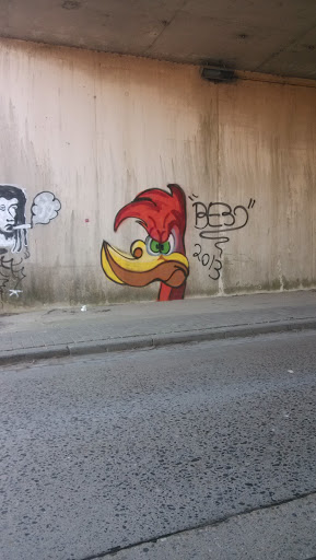 Bierbeek  -  Graffiti Under The Bridge 