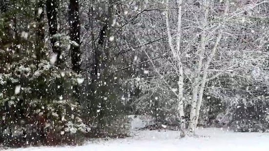 How to get Falling Snow Live Wallpaper lastet apk for android