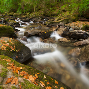 Irish stream by Benjamin Arthur - Nature Up Close Water