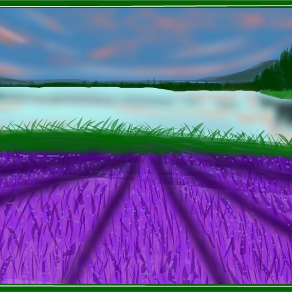 expand log(xy^7) » drawings » SketchPort Lavender Farm The