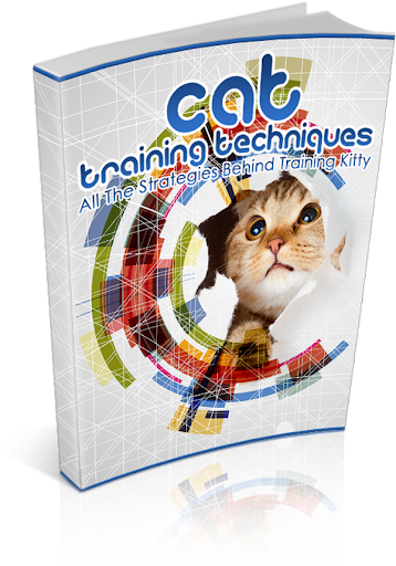 cat training techniques