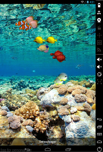 Nemo Aquarium HD LiveWallpaer