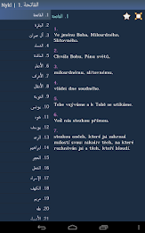 Quran in Czech poster 7