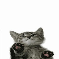 猫が画面を舐める Androidアプリ Applion