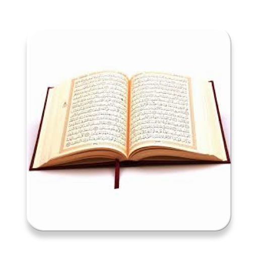 learn quran