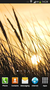 download Grass Live Wallpaper HD free