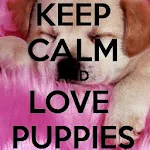 Keep Calm 4 PUPPIES Apk