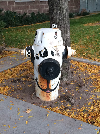 Dalmatian Painted Fire Hydrant