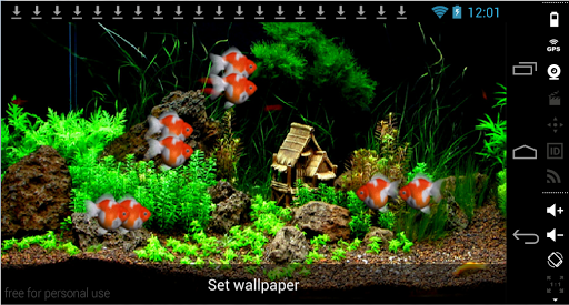 免費下載個人化APP|3D Goldfish LiveWallpaper app開箱文|APP開箱王
