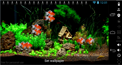 【免費個人化App】3D Goldfish LiveWallpaper-APP點子