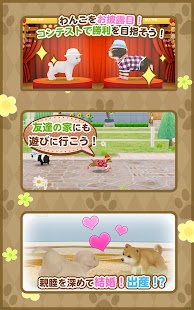download てのひらワンコ　★スマホでわんこ育成★ free