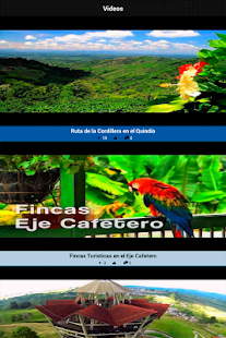 Finca Málaga Screenshots 2