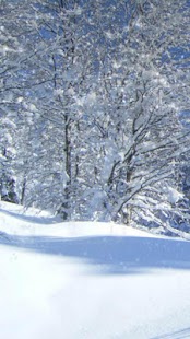 Wintery Day HD Live Wallpaper Screenshots 0
