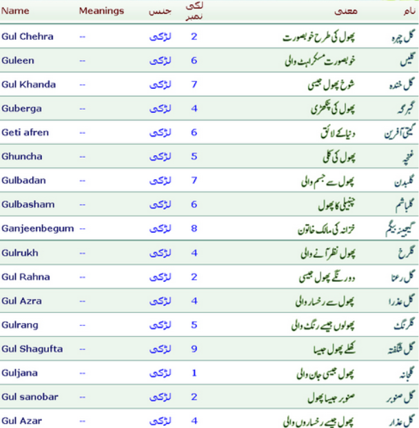 What Is The Meaning Of Excessive In Urdu DriverLayer Search Engine